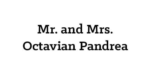 Mr. and Mrs. Octavian Pandrea