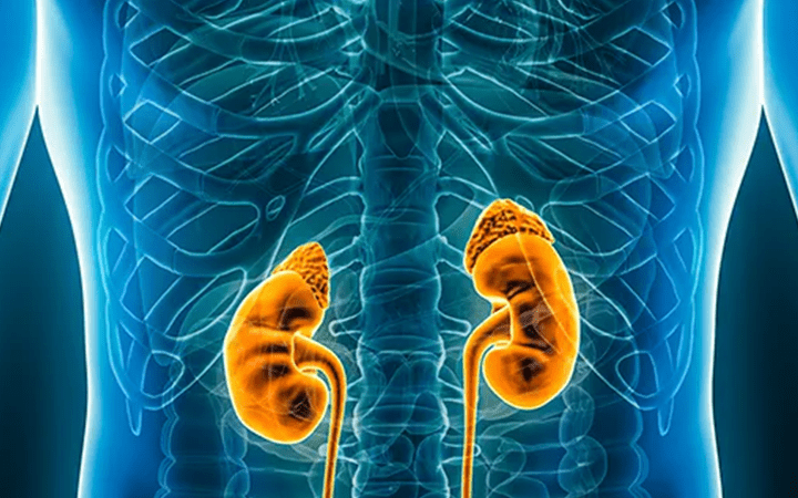 Chronic Kidney Disease