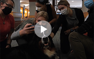 Pet Therapy Thrive at University Hospitals
